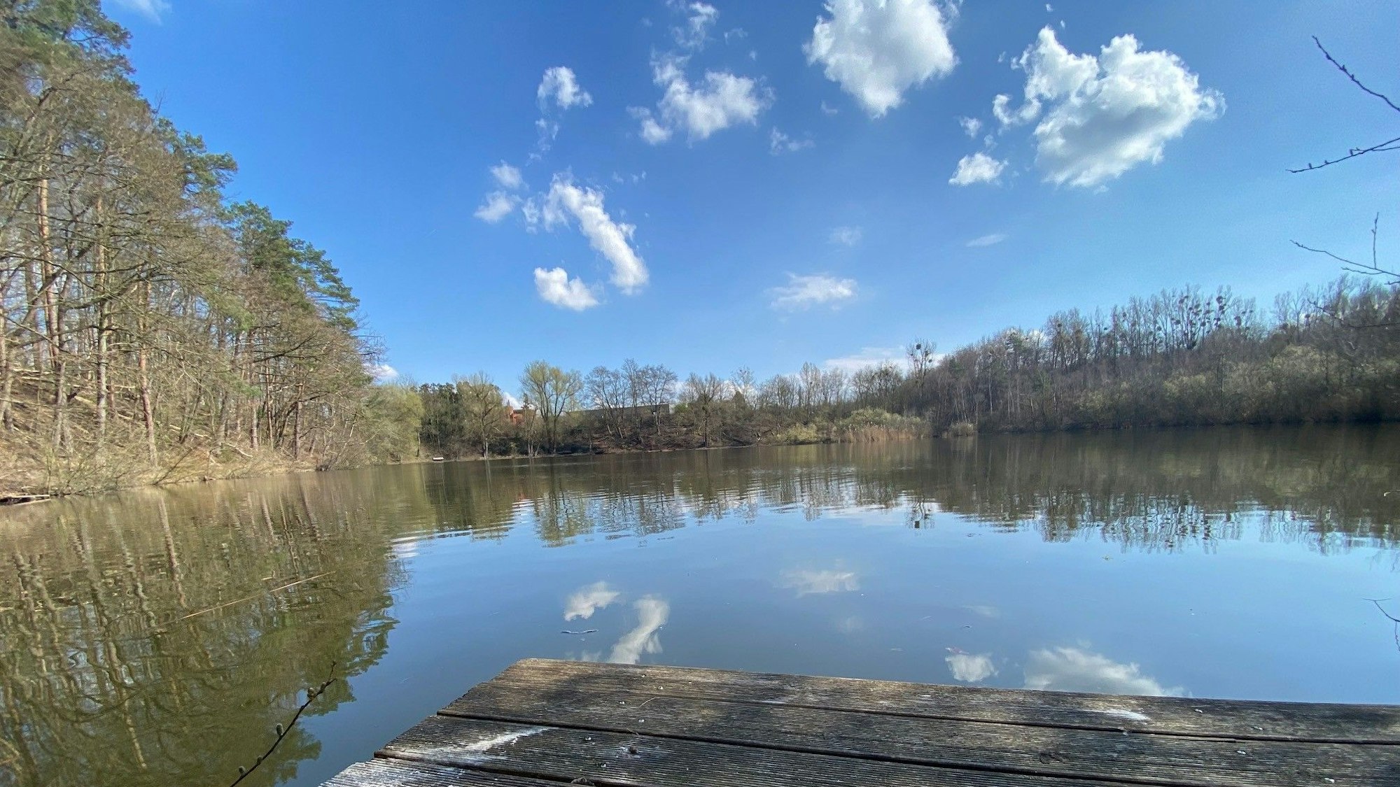 Ein Teich mit Steg und von Bäumen umrandet. Der Himmel ist blau und spiegelt sich im Wasser.