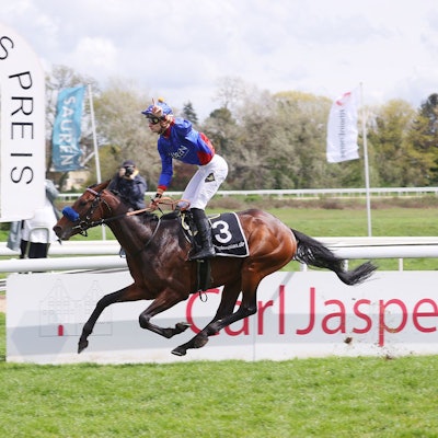 Der Galopper des Jahres: Hengst Assistent von Eckhard Sauren - hier mit Reiter Lukas Delozier beim Carl Jaspars Preis 2023 in Köln.