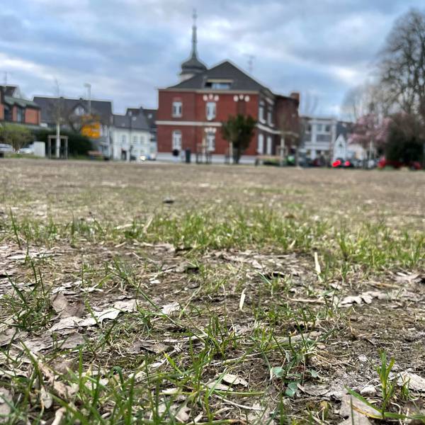 Auf der stark in Mitleidenschaft gezogenen Rasenfläche im alten Stadtpark in Leichlingen wird neuer Rasen gesät.