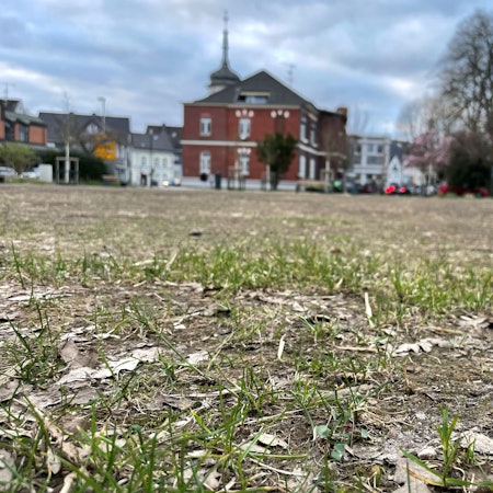 Auf der stark in Mitleidenschaft gezogenen Rasenfläche im alten Stadtpark in Leichlingen wird neuer Rasen gesät.