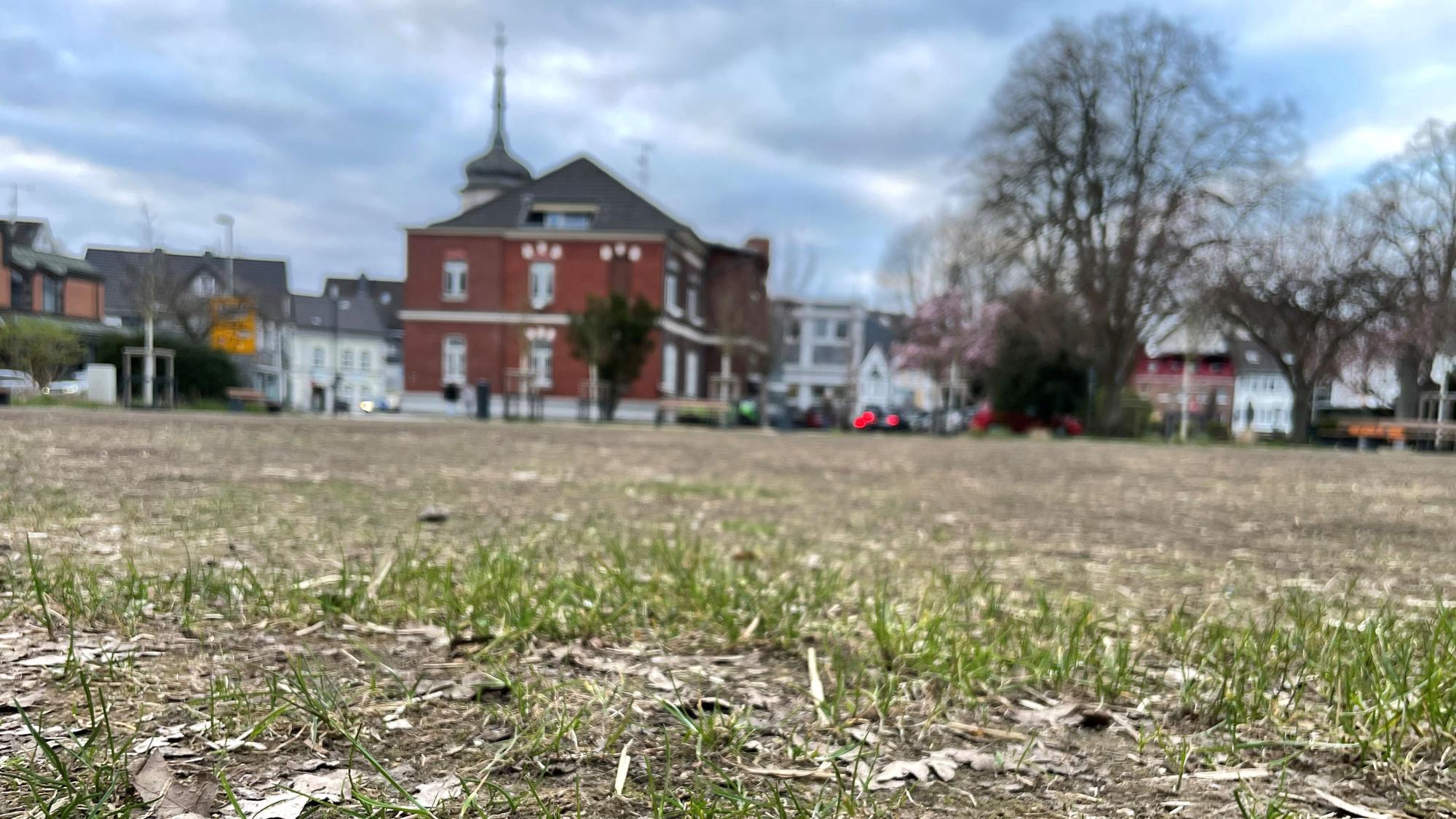 Auf der stark in Mitleidenschaft gezogenen Rasenfläche im alten Stadtpark in Leichlingen wird neuer Rasen gesät.