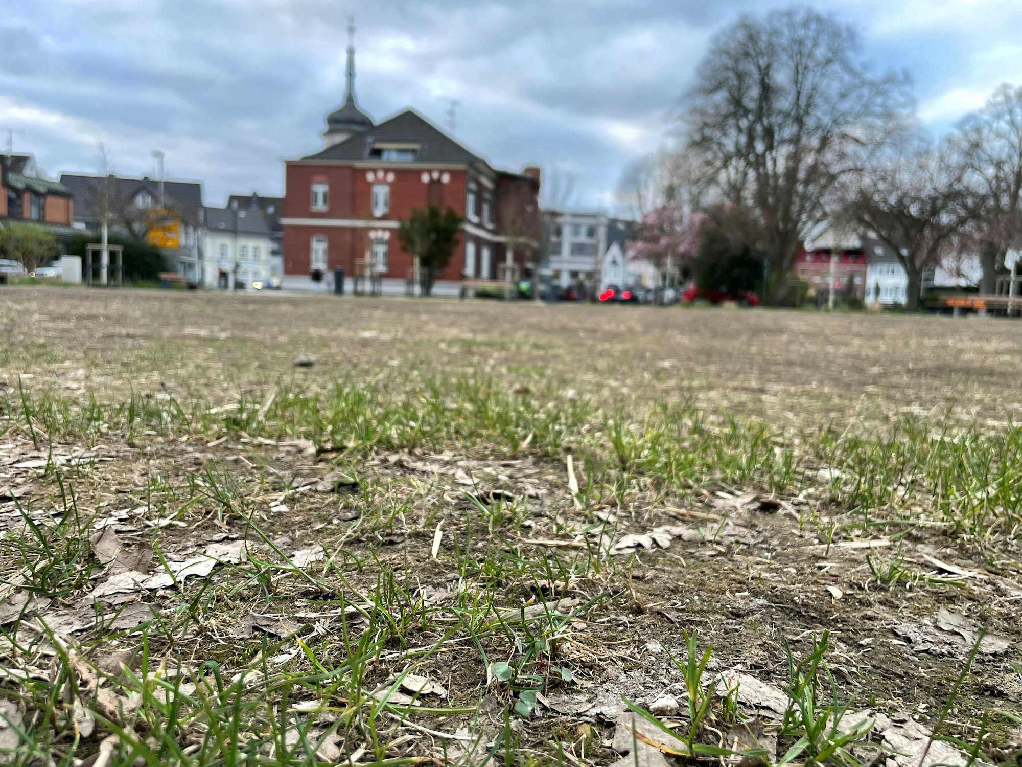 Auf der stark in Mitleidenschaft gezogenen Rasenfläche im alten Stadtpark in Leichlingen wird neuer Rasen gesät.