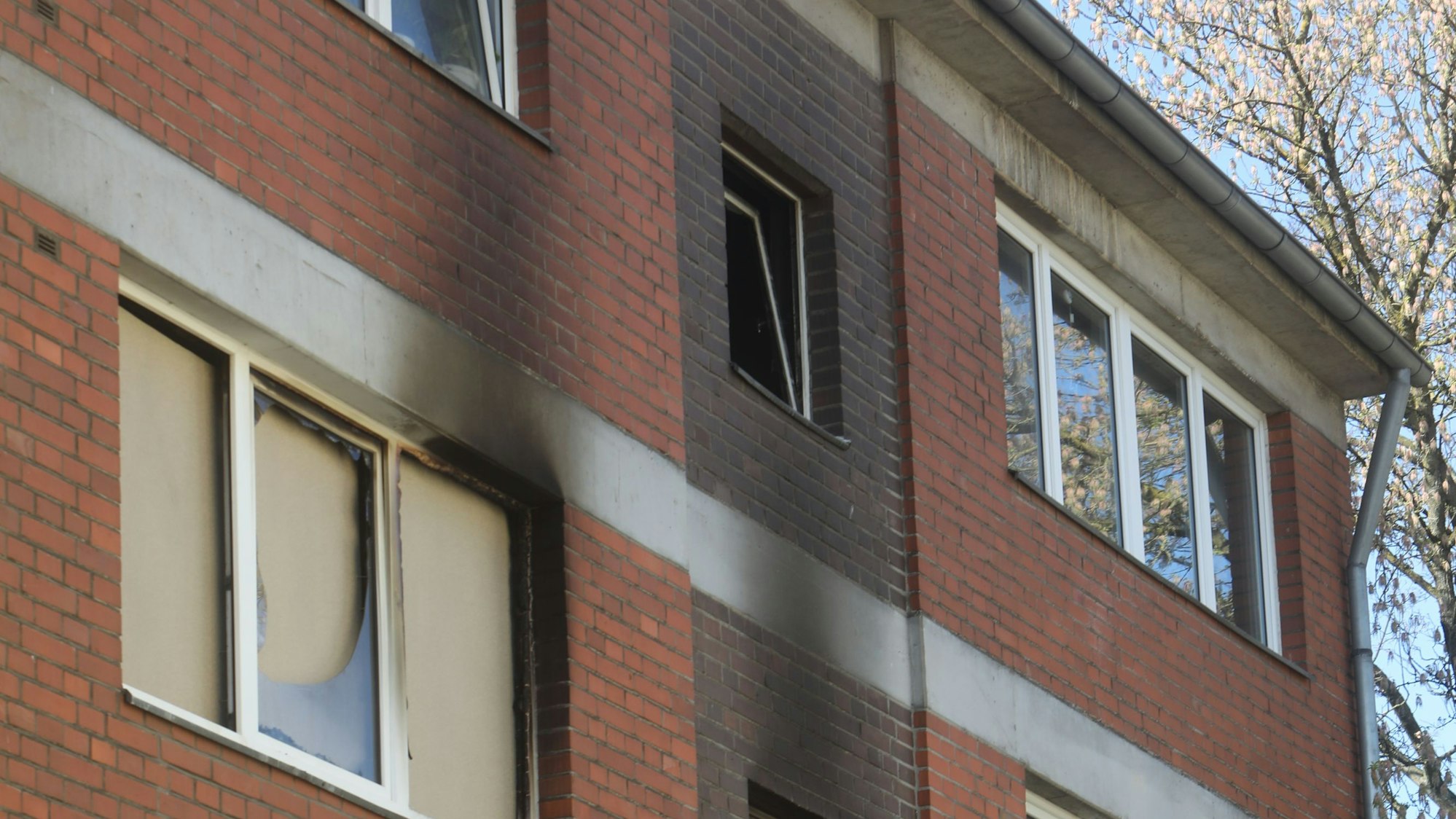 Am Dienstagabend stoppte ein falsch geparktes Auto das Drehleiterfahrzeug der Feuerwehr, das zu einer brennenden Wohnung auf der Wattstraße eilte.