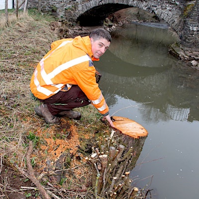 Der Baumkontrolleur Marco Dalboth hockt am Ufer der Kyll an einem Baumstumpf.