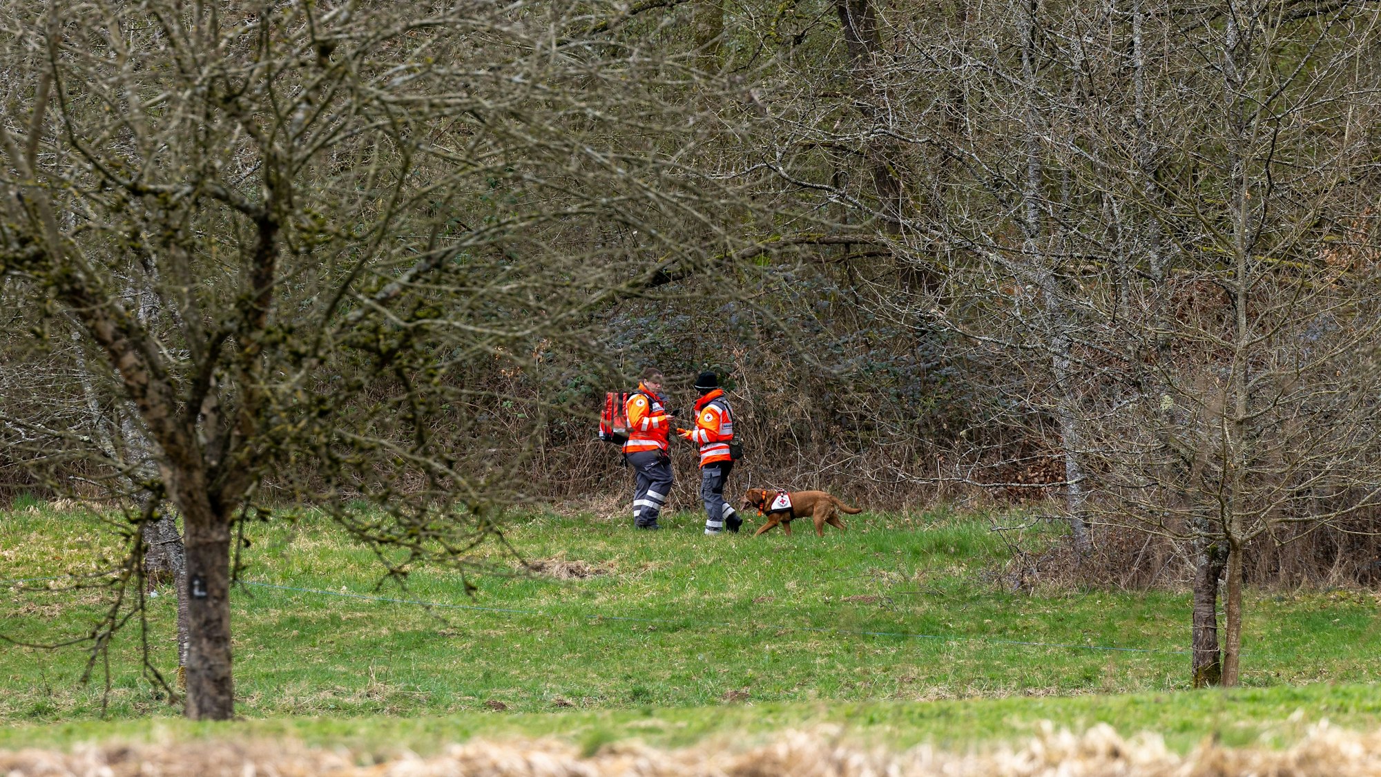 26.03.2025, Hessen, Weilburg: Mitglieder der Rettungshundestaffel durchsuchen ein Gelände an der Lahn westlich von Weilburg. Von dem vermissten sechsjährigen Jungen im hessischen Weilburg fehlt weiterhin jede Spur. Wie eine Polizeisprecherin am frühen Morgen mitteilte, wird der autistisch veranlagte Junge nach wie vor gesucht.