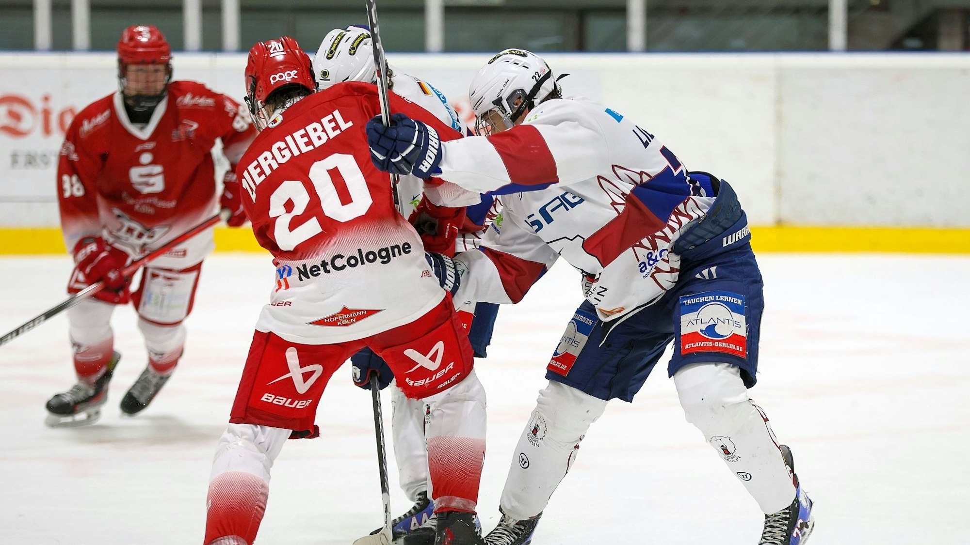 Kölner Junghaie: Max Ziergiebel
Foto: Hans Kästle