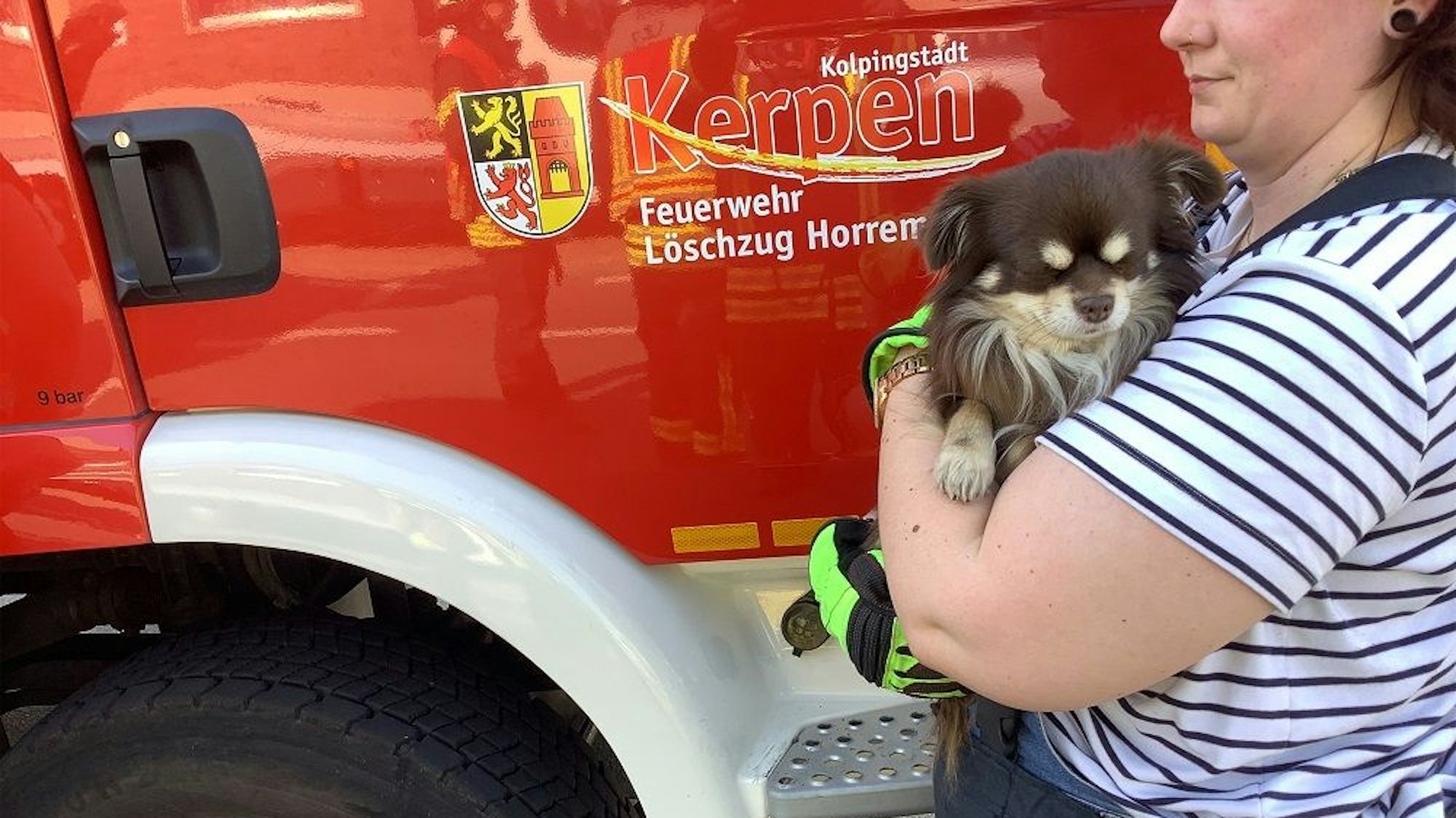 Der Hund aus einem der am Unfall beteiligten Fahrzeuge blieb unverletzt.