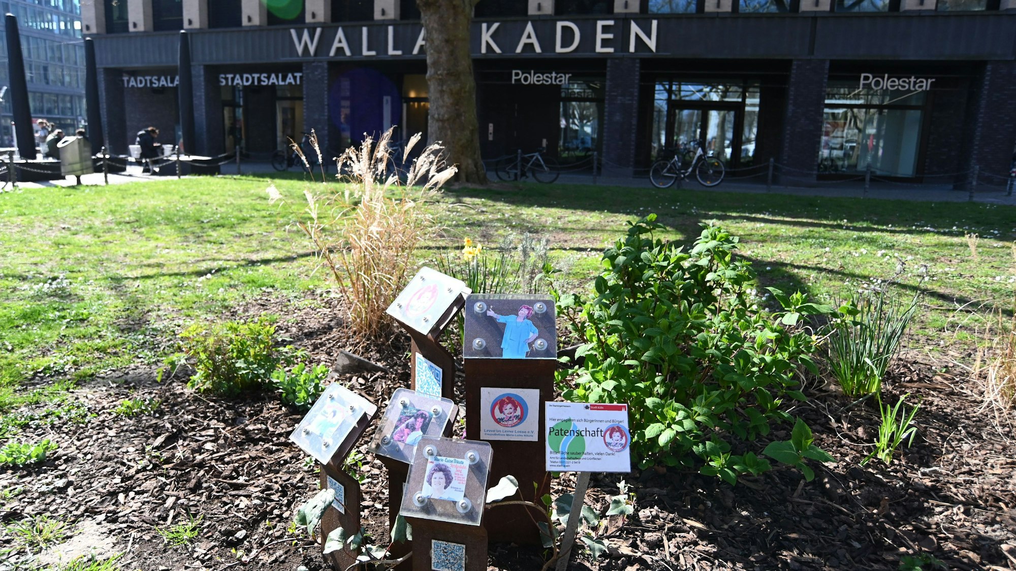 Zu sehen ist eine Grünfläche östlich der neuen „Wallarkaden“ am Rudolfplatz, welche künftig Marie-Luise-Nikuta-Platz heißen soll.