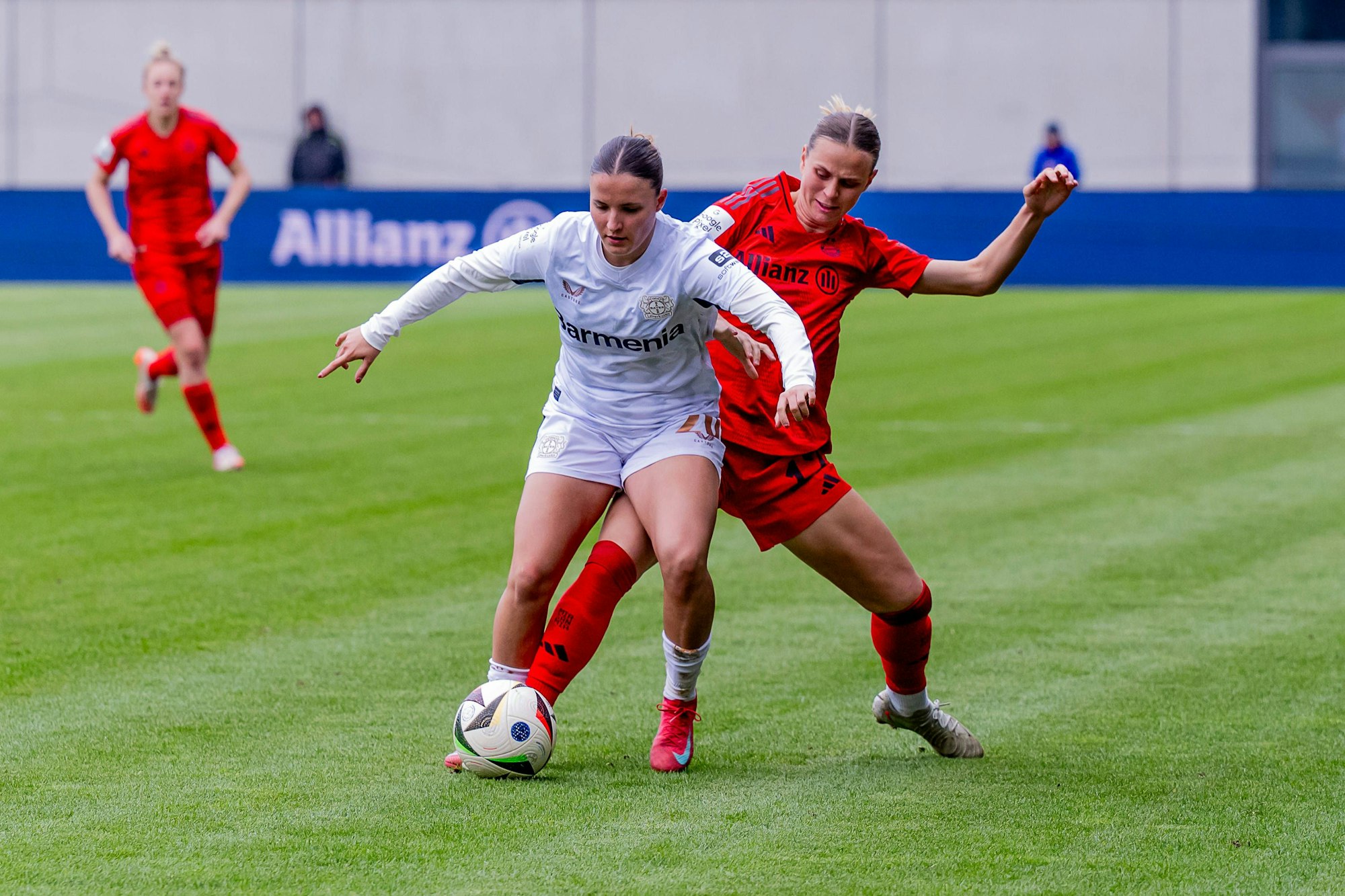 Kampf um den Ball / Zweikampf zwischen Estrella Merino Gonzales Bayer 04 Leverkusen, 20 und Klara Buehl FC Bayern Muenchen Frauen, 17. FC Bayern Muenchen Frauen gegen Bayer 04 Leverkusen, Fussball, Google Pixel Frauen-Bundesliga, 18. Spieltag, Saison 2024/2025, 30.03.2025. DFL DFB REGULATIONS PROHIBIT ANY USE OF PHOTOGRAPHS as IMAGE SEQUENCES and or QUASI-VIDEO. FC Bayern Muenchen Frauen gegen Bayer 04 Leverkusen, Fussball, Google Pixel Frauen-Bundesliga, 18. Spieltag, Saison 2024/2025, 30.03.2025. Muenchen *** Fight for the ball duel between Estrella Merino Gonzales Bayer 04 Leverkusen, 20 and Klara Buehl FC Bayern Muenchen Frauen, 17 FC Bayern Muenchen Frauen vs Bayer 04 Leverkusen, Football, Google Pixel Frauen Bundesliga, 18 Matchday, Season 2024 2025, 30 03 2025 DFL DFB REGULATIONS PROHIBIT ANY USE OF PHOTOGRAPHS as IMAGE SEQUENCES and or QUASI VIDEO FC Bayern Muenchen Frauen gegen Bayer 04 Leverkusen, Football, Google Pixel Frauen Bundesliga, 18 Spieltag, Saison 2024 2025, 30 03 2025 Muenchen Copyright: xEibner-Pressefoto/HeikexFeinerx EP_HFR