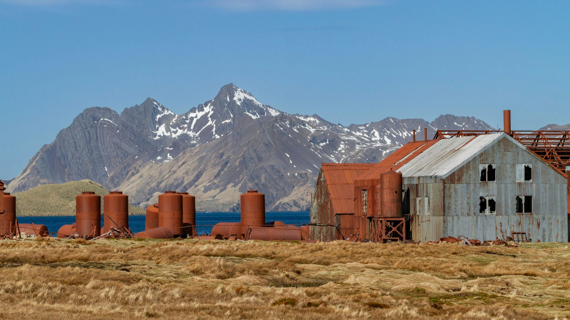 Blick auf die verlassene Walfangstation.