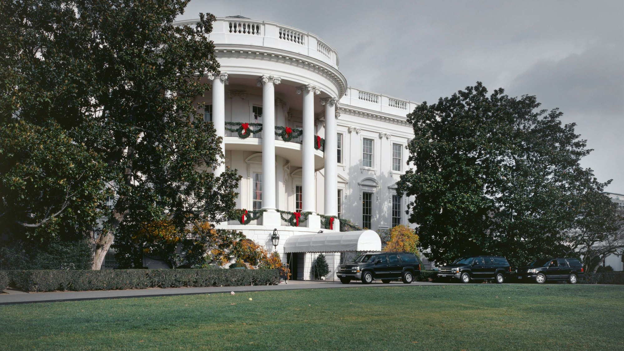Auf der Südseite des Weißen Hauses steht seit über 200 Jahren ein Magnolienbaum.