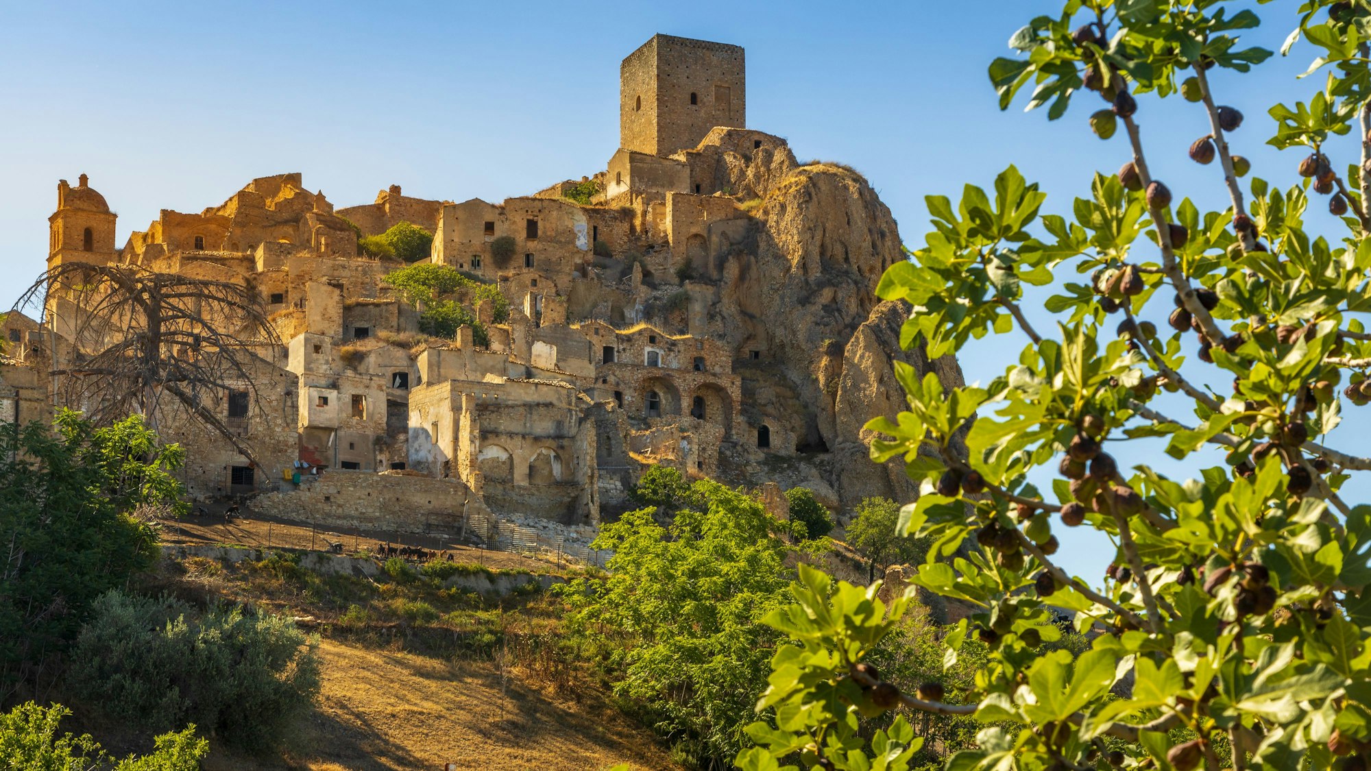 Die alte Bergstadt Craco.