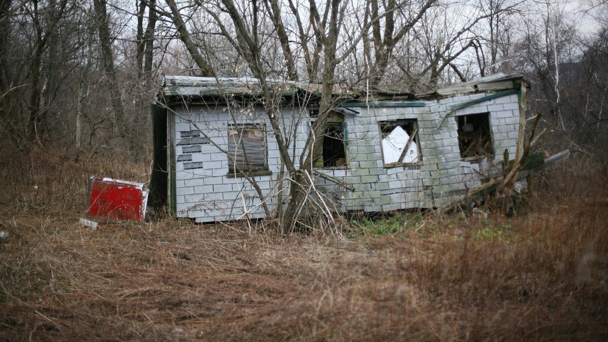 Ein zerfallenes Haus, umringt von Bäumen.