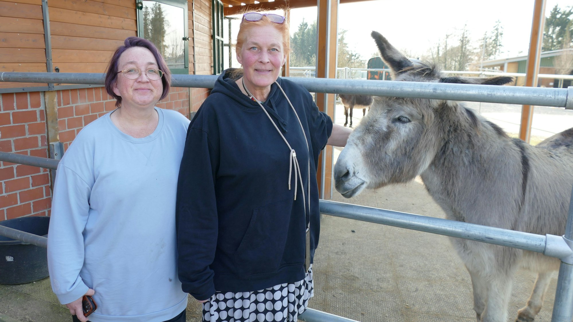 Zwei Frauen stehen an einem Gatter und streicheln einen Esel.