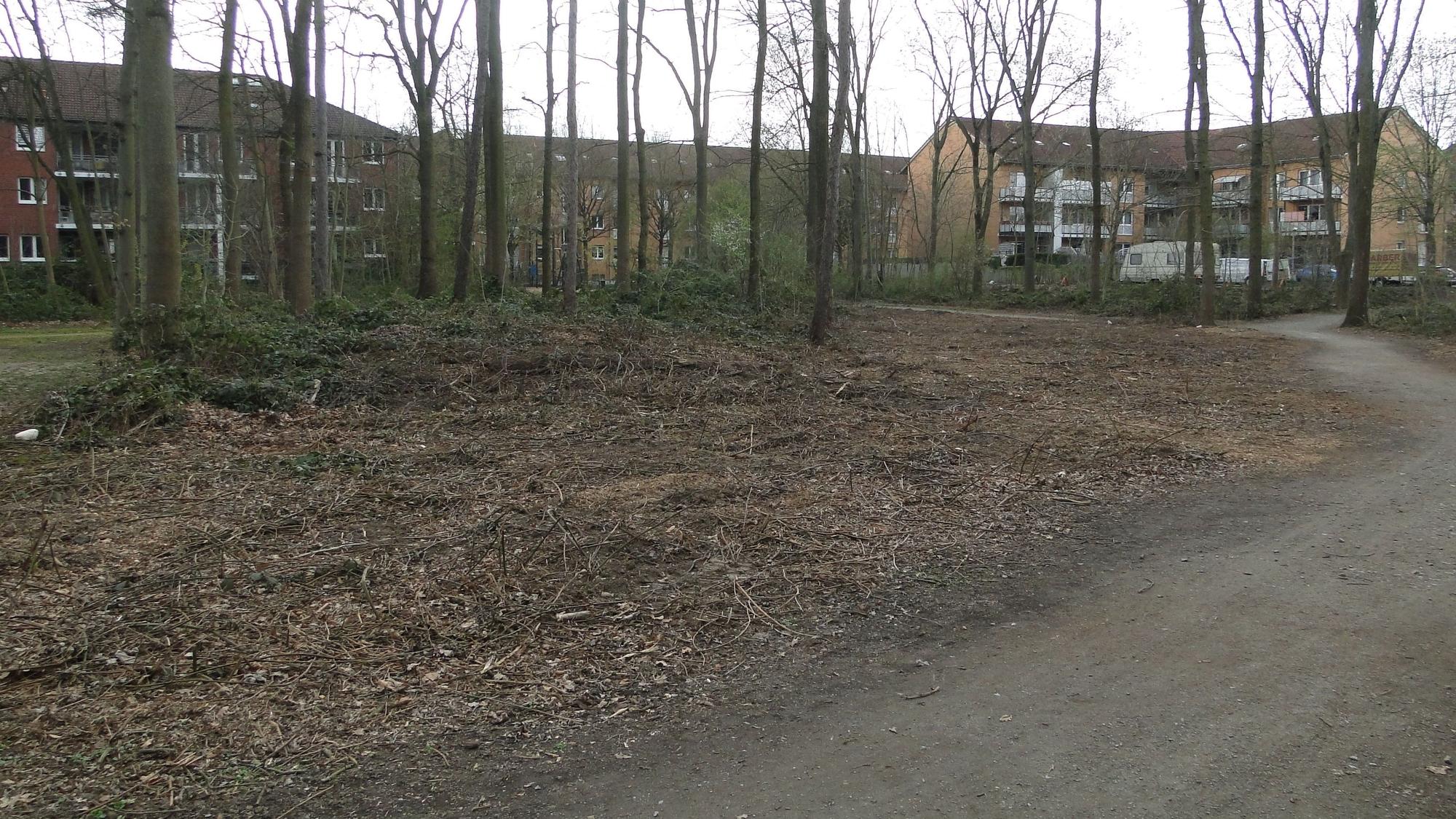 Eine gerodete Fläche an einem Spielplatz
