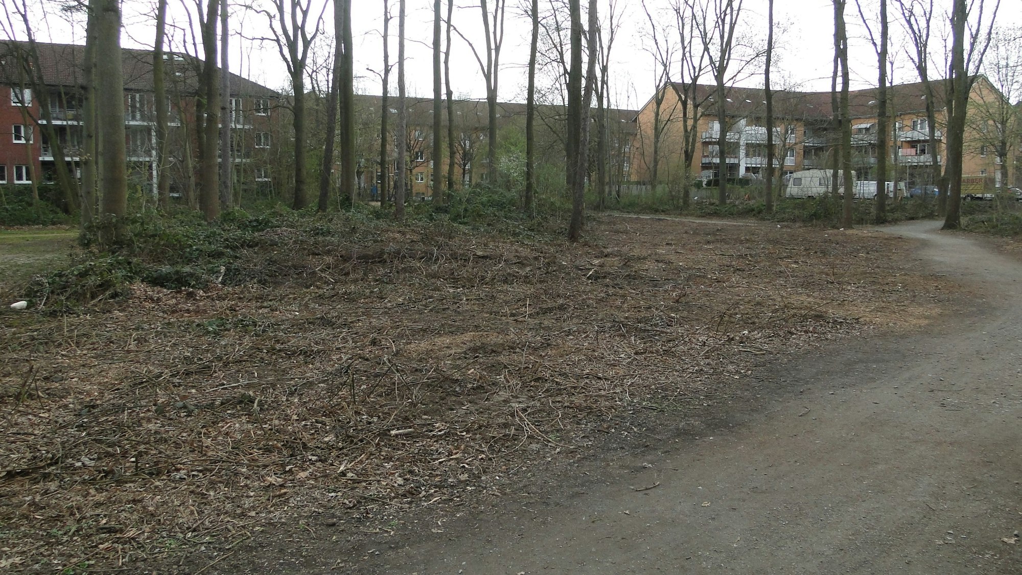 Eine gerodete Fläche an einem Spielplatz