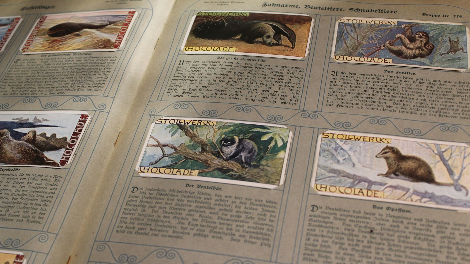 Ein Sammelalbum mit Tiermotiven