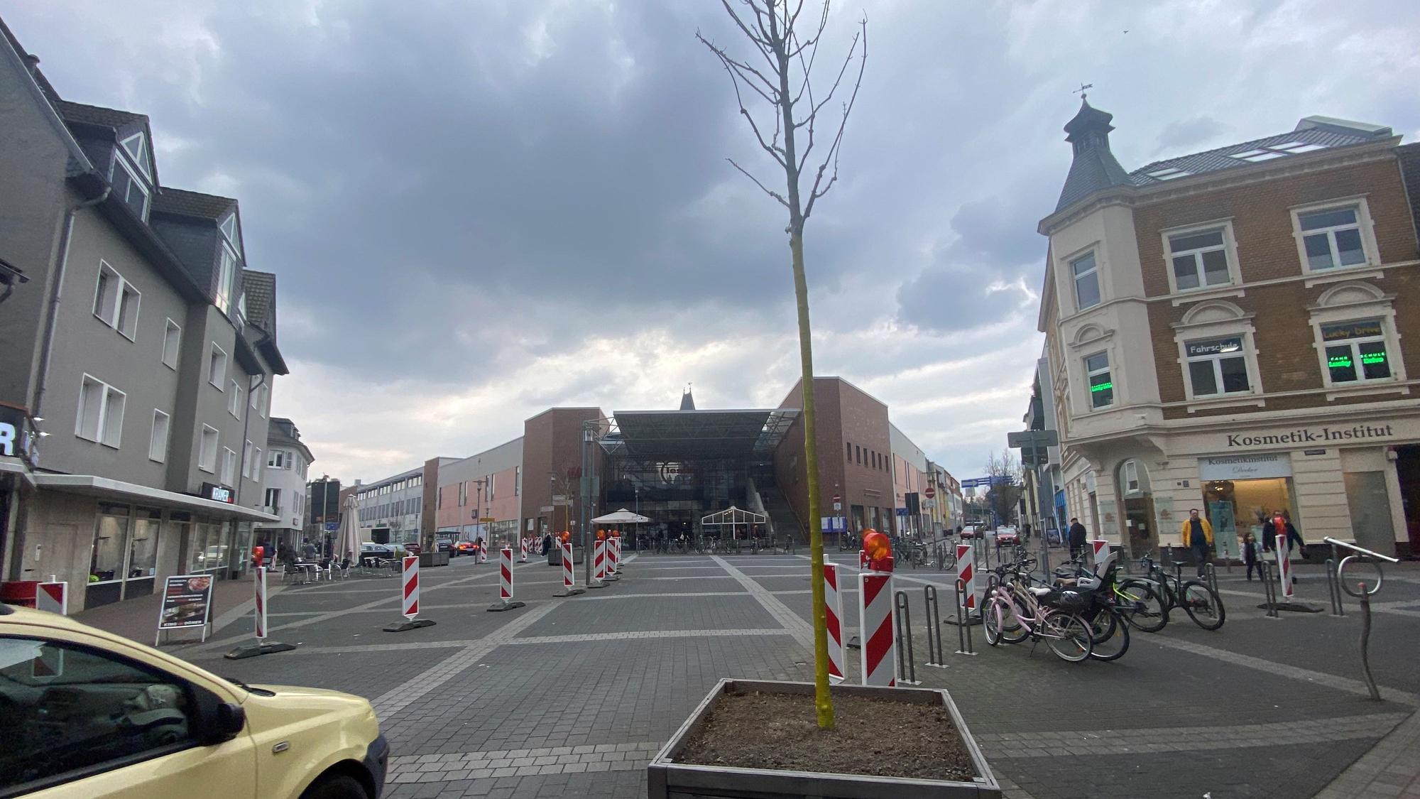 Zu sehen ist ein Baum in einem Holzkübel.