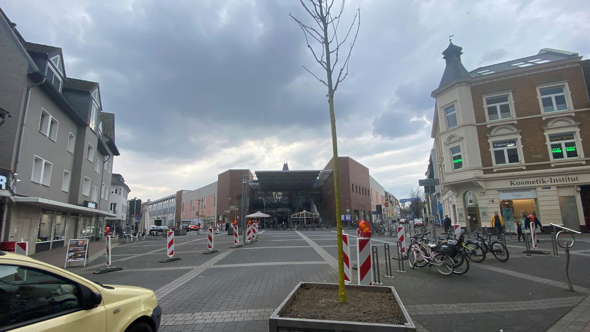 Zu sehen ist ein Baum in einem Holzkübel.