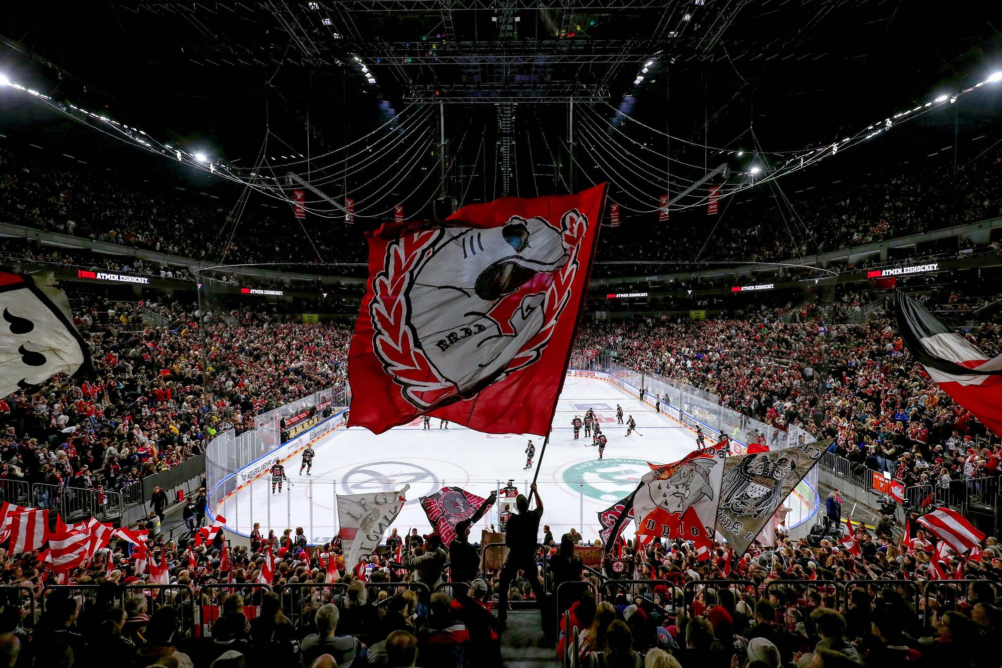 16.02.2025, Eishockey, DEL, Kölner Haie - Düsseldorfer EG, Lanxess-Arena Köln: Feature Zuschauer Besucher volle Halle Innenansicht Übersichtsbild Übersicht Sportstätte Fans EInlaufshow Nordrhein-Westfalen Deutschland *** 16 02 2025, Ice field hockey, DEL, Kölner Haie Düsseldorfer EG, Lanxess Arena Cologne Feature Spectators Visitors Full hall Interior view Overview Sports venue Fans Entry show North Rhine-Westphalia Germany