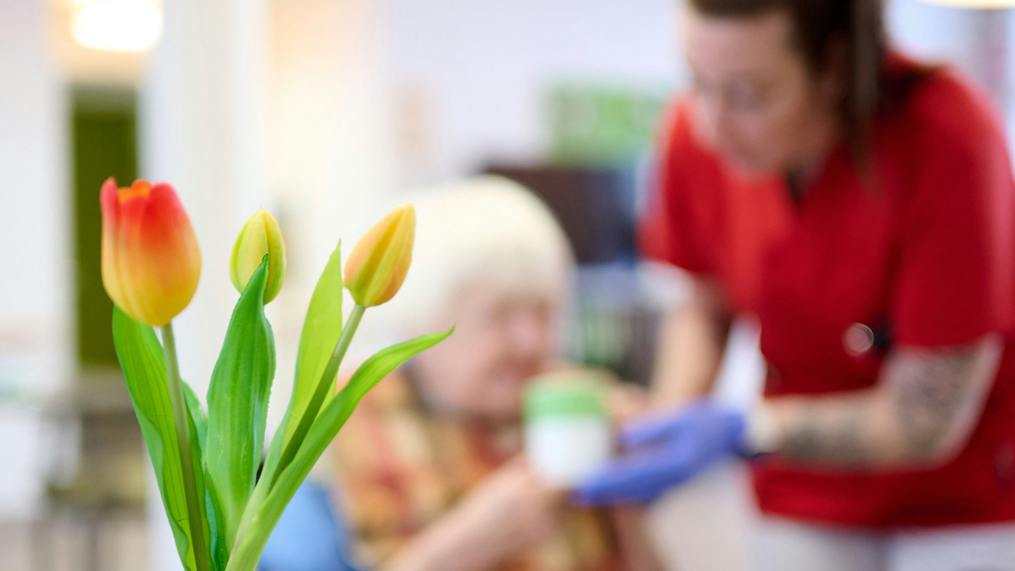12.03.2025, Nordrhein-Westfalen, Essen: Eine Pflegekraft unterstützt eine Seniorin beim Frühstück im DRK-Pflegezentrum Solferino. Im Vordergrund steht eine Vase mit Tulpen. (zu dpa: «Pflegeversicherung droht erneutes Defizit») Foto: Bernd Thissen/dpa +++ dpa-Bildfunk +++