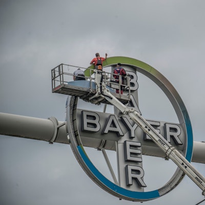 Bayerkreuz wird aufpoliert/ ausgewechselt zur Meisterschaft. Bild: Ralf Krieger