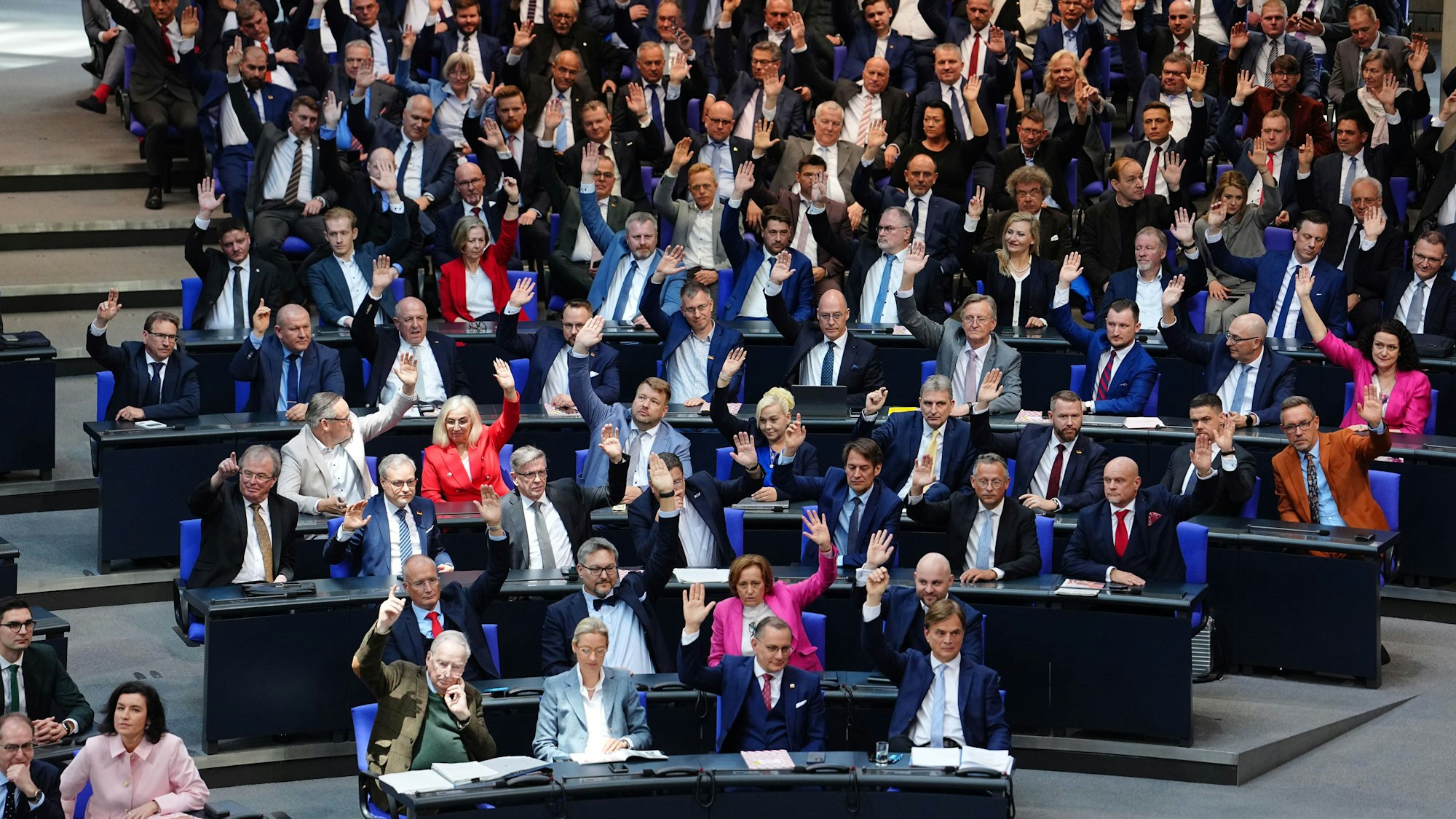 Die AfD-Fraktion stimmt über einen Antrag ab bei der konstituierenden Sitzung des neuen Bundestags.