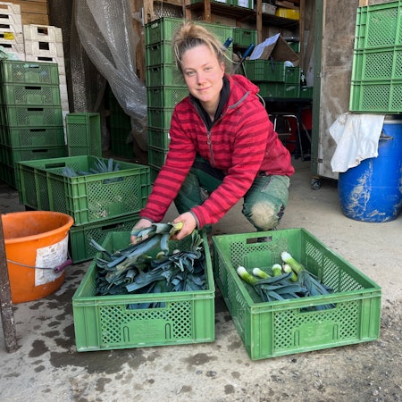 Die Solidarische Landwirtschaft Hanfer Hof existiert seit zehn Jahren, gerade beginnt das neue Erntejahr. Lotte Jobs bereitet die Verteilung vor.