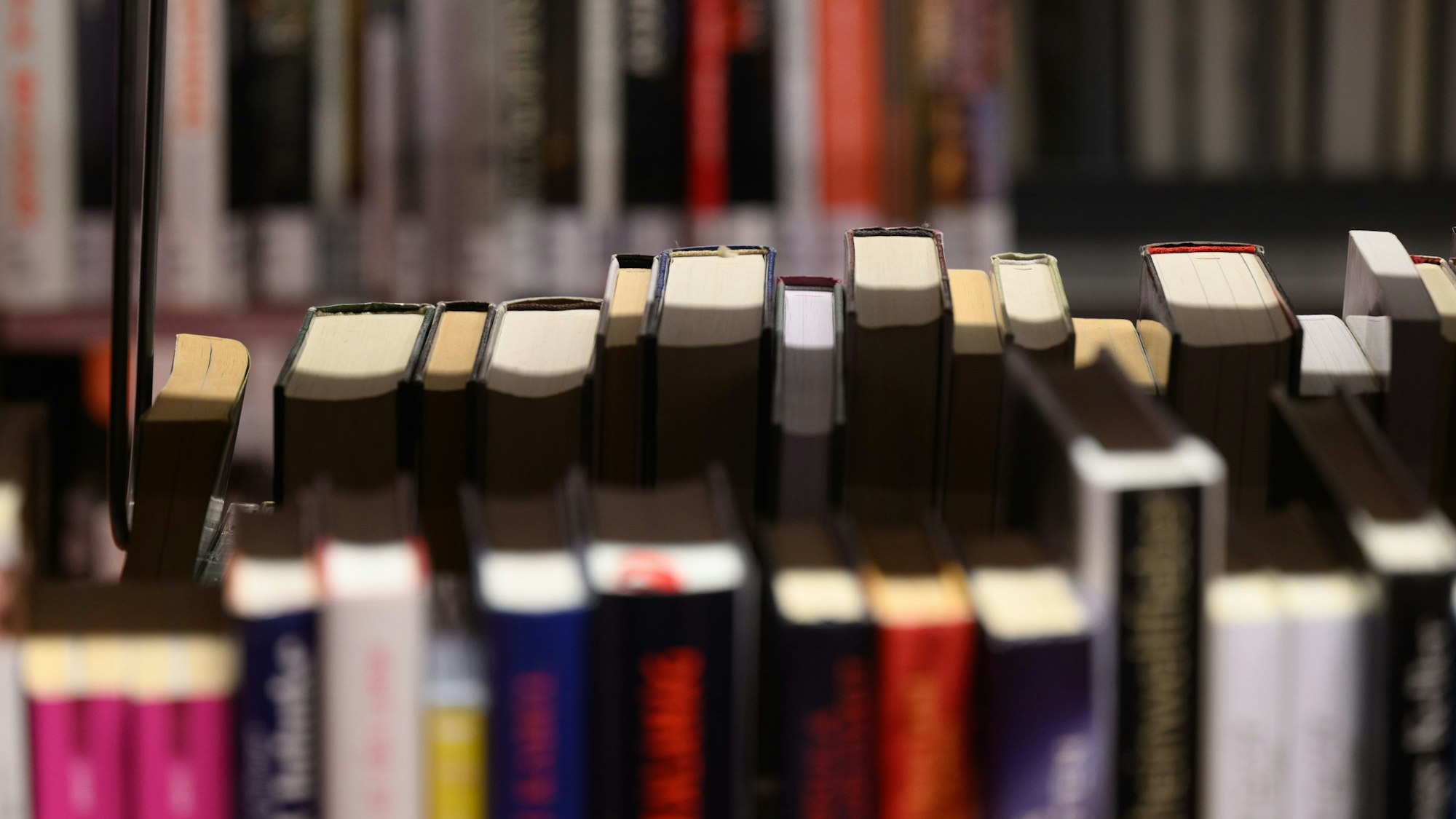 Bücher stehen in einem Bibliotheksregal.