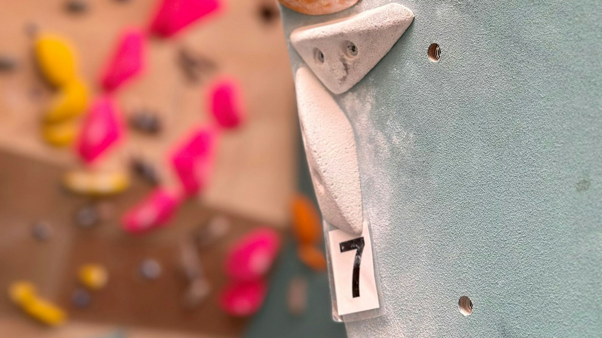 Zu sehen sind Griffe an einer Kletterwand.