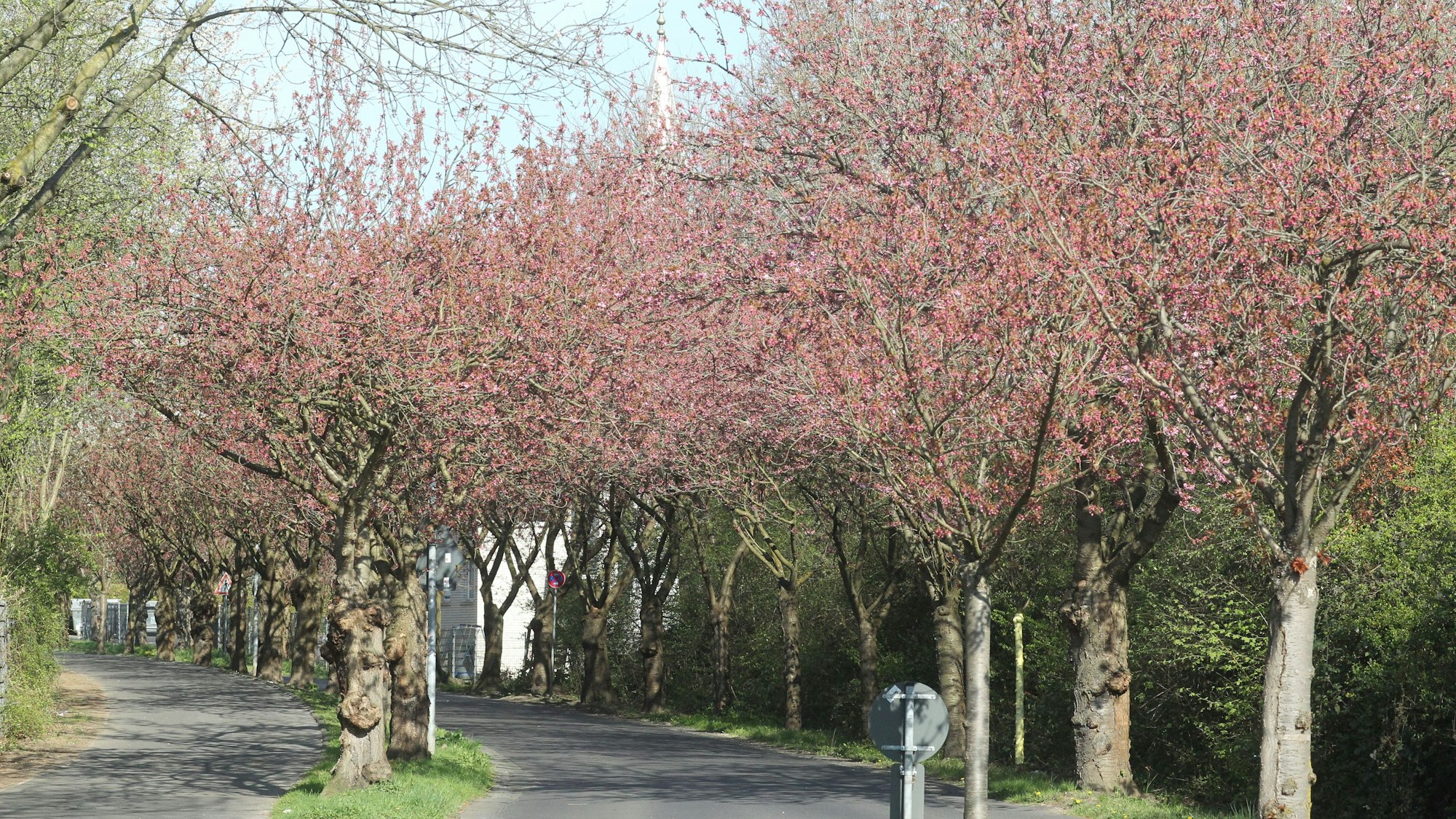 An der Premnitzer Straße in Lülsdorf ist die Grundfarbe schon zu erkennen.