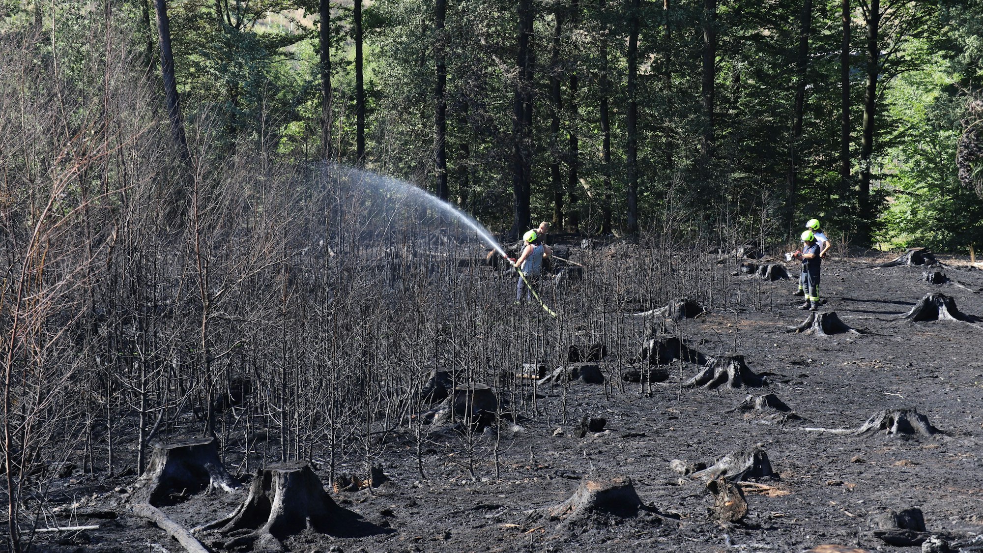 Das Feuer findet auf den Böden aktuell genug trockenes, brennbares Material.