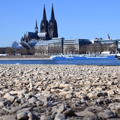 Der Rhein braucht dringend Regen. Die Pegelstände am Rhein sind ungewöhnlich tief gefallen.