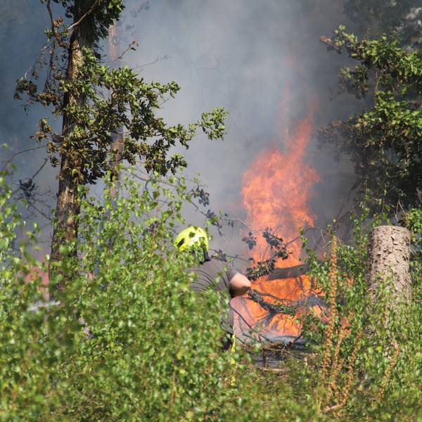 Die Gefahr von Waldbränden steigt aktuell an.