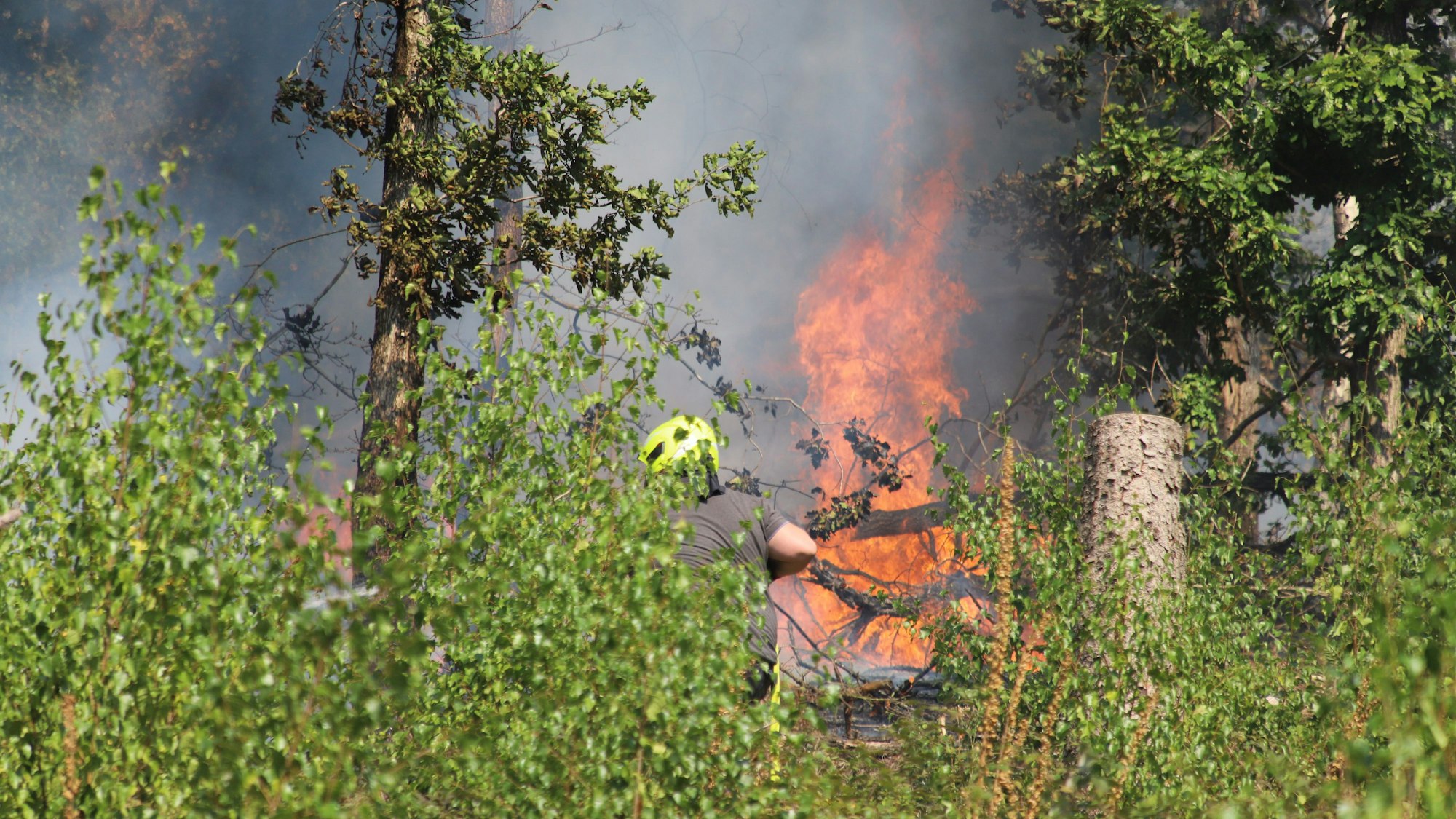 Die Gefahr von Waldbränden steigt aktuell an.