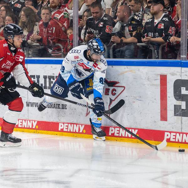 Die Kölner Haie gegen den ERC Ingolstadt.