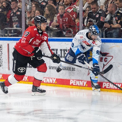 Die Kölner Haie gegen den ERC Ingolstadt.