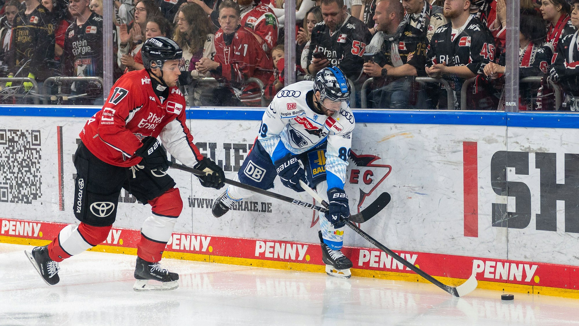Die Kölner Haie gegen den ERC Ingolstadt.