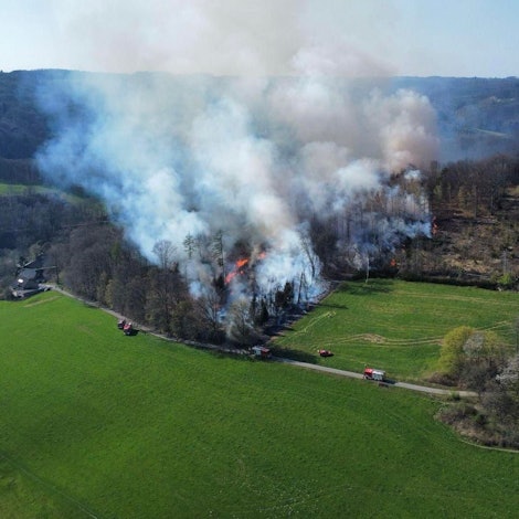 Rauch steigt zwischen Bäumen auf.