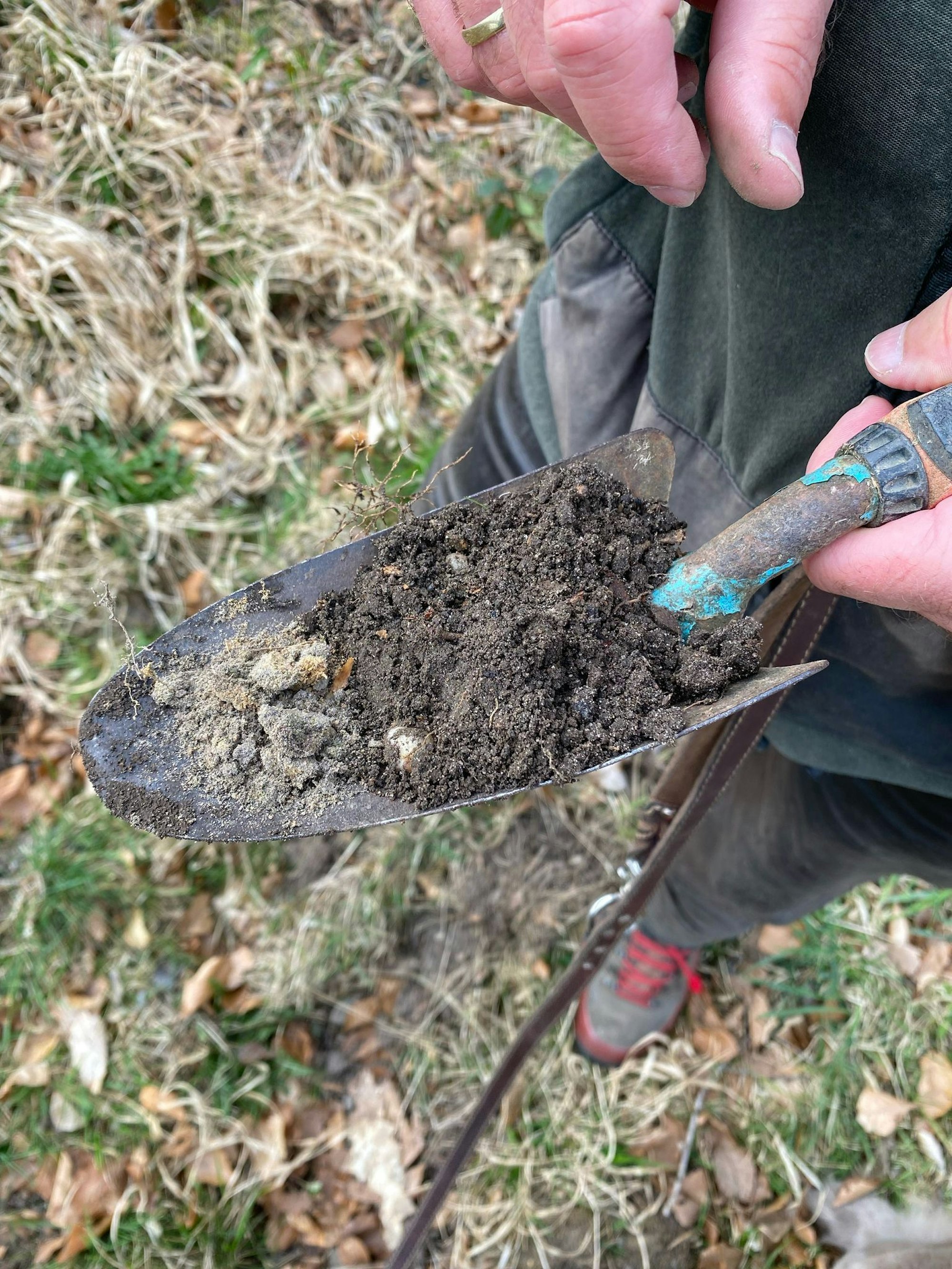 Erde ist an der Oberfläche trocken, aber weiter unten noch feucht, wie Förster Jürgen Greißner im Königsforst zeigt.