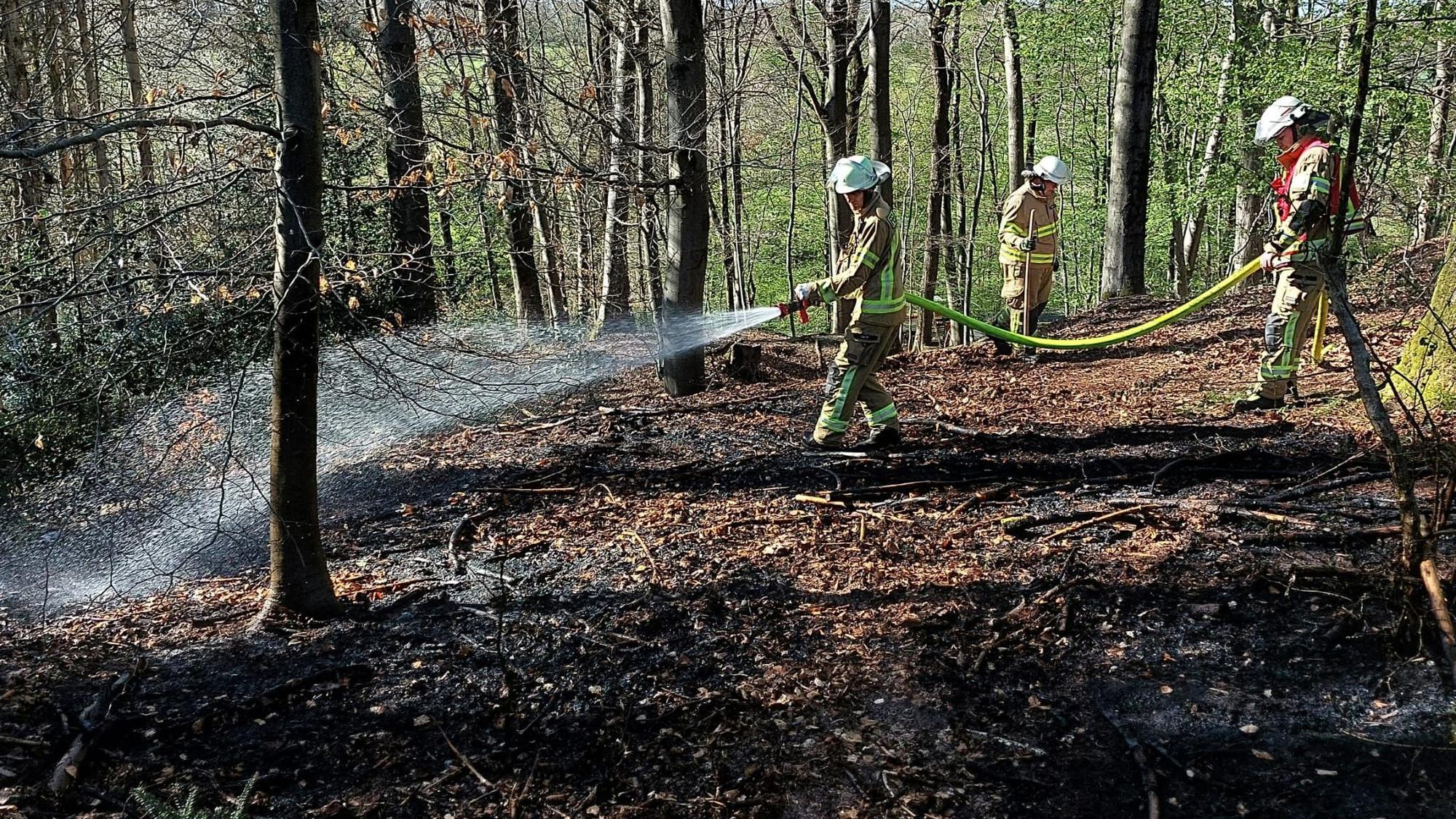Einsatzkräfte der Feuerwehr löschen Glutnester nach einem Brand im Unterholz.