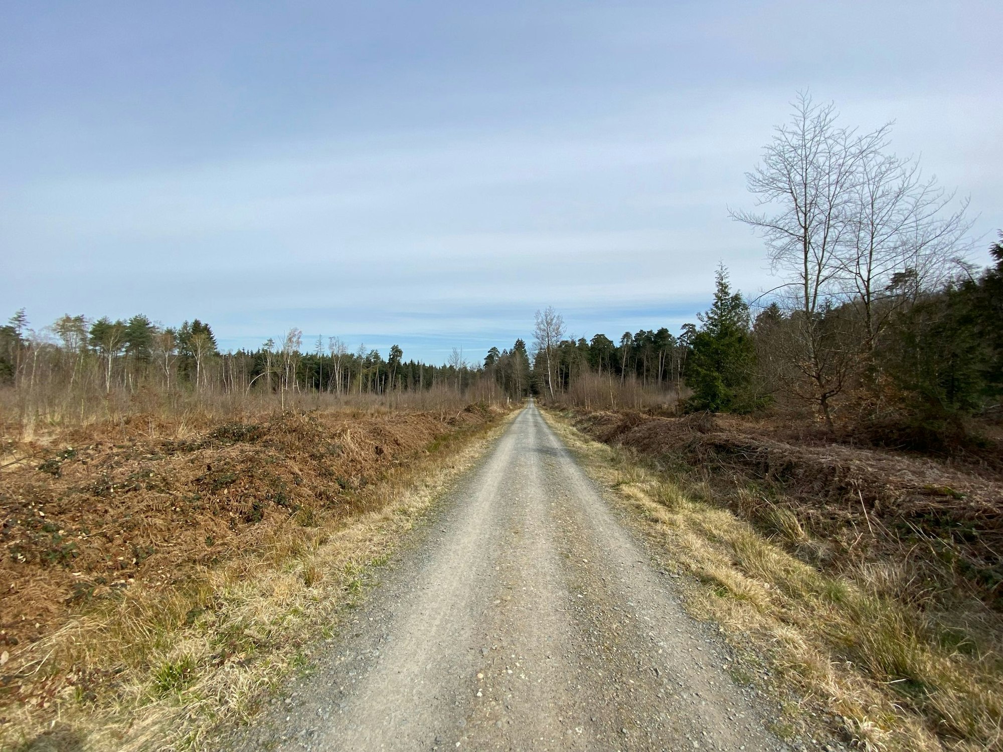 Auf den Wegen zu bleiben, hilft der Natur.