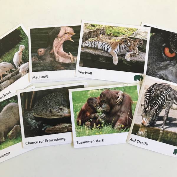 Das Bild zeigt das neue Sammelalbum des Kölner Zoos und seine Sticker.