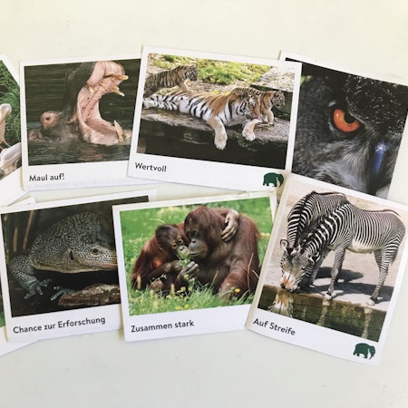 Das Bild zeigt das neue Sammelalbum des Kölner Zoos und seine Sticker.