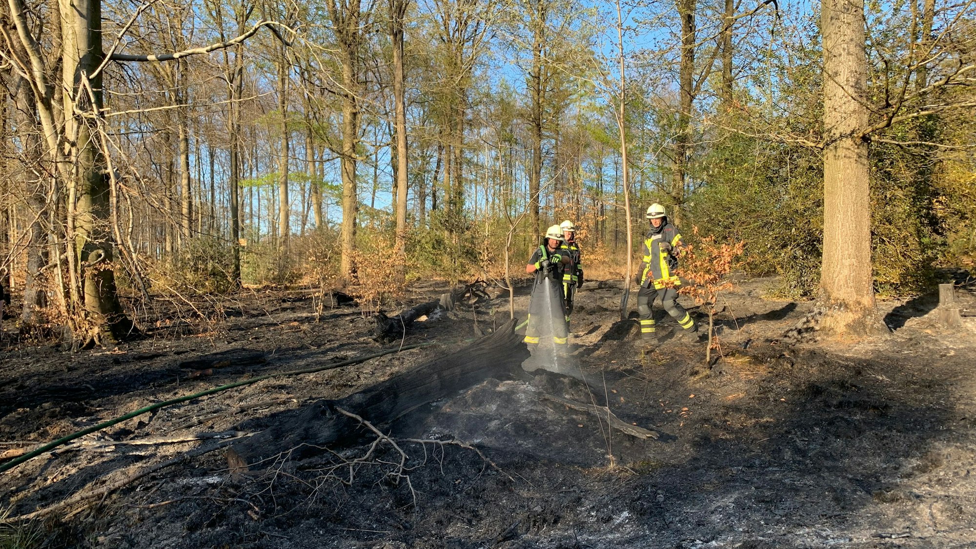 Das Bild zeigt Feuerwehrkräfte beim Löschen des Waldbrandes.