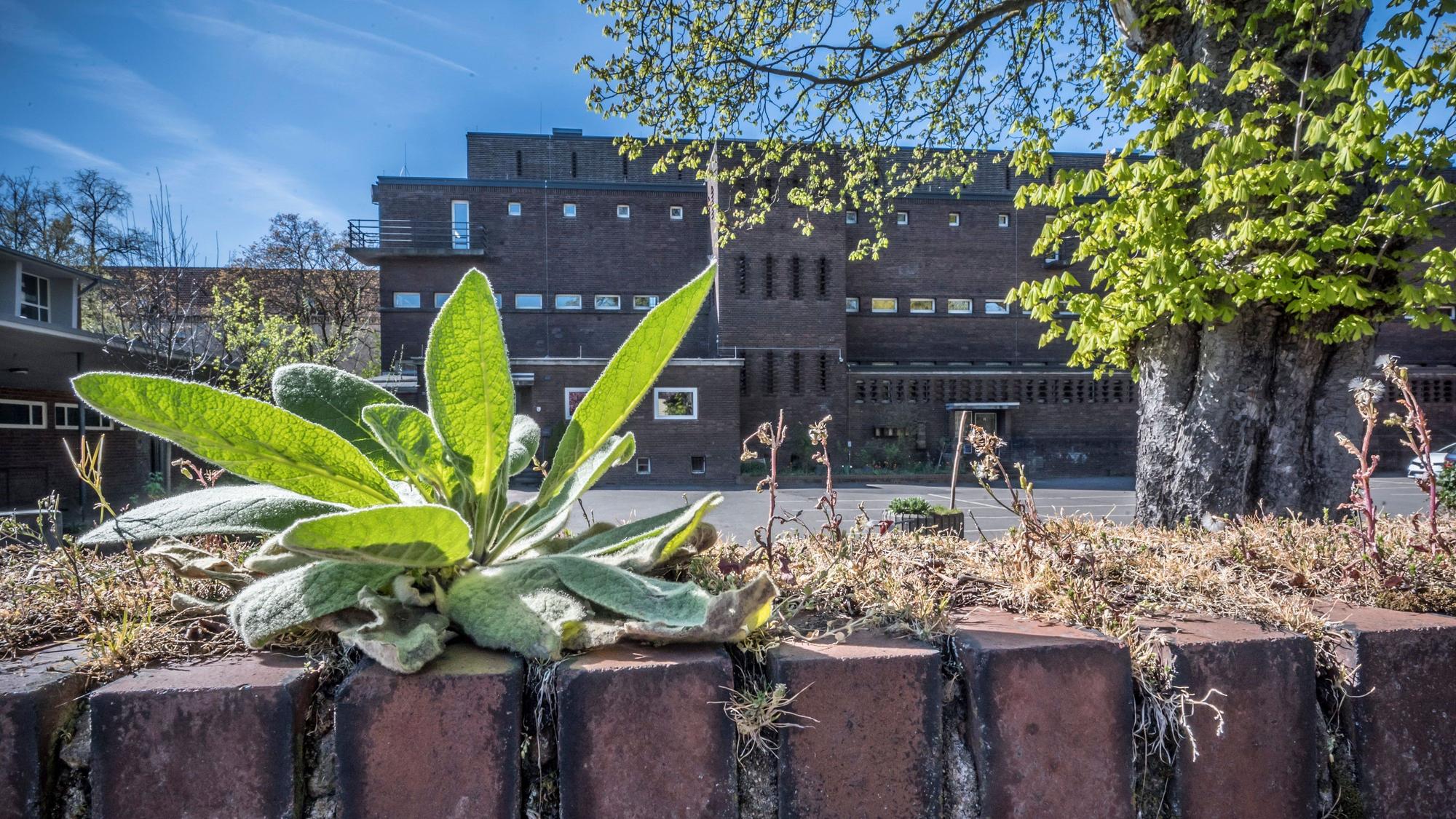 Es muss noch mehr gespart werden, für Kindergärten und Schulen, etwa die Realschule Am Stadtpark soll Geld locker gemacht werden. Foto: Ralf Krieger