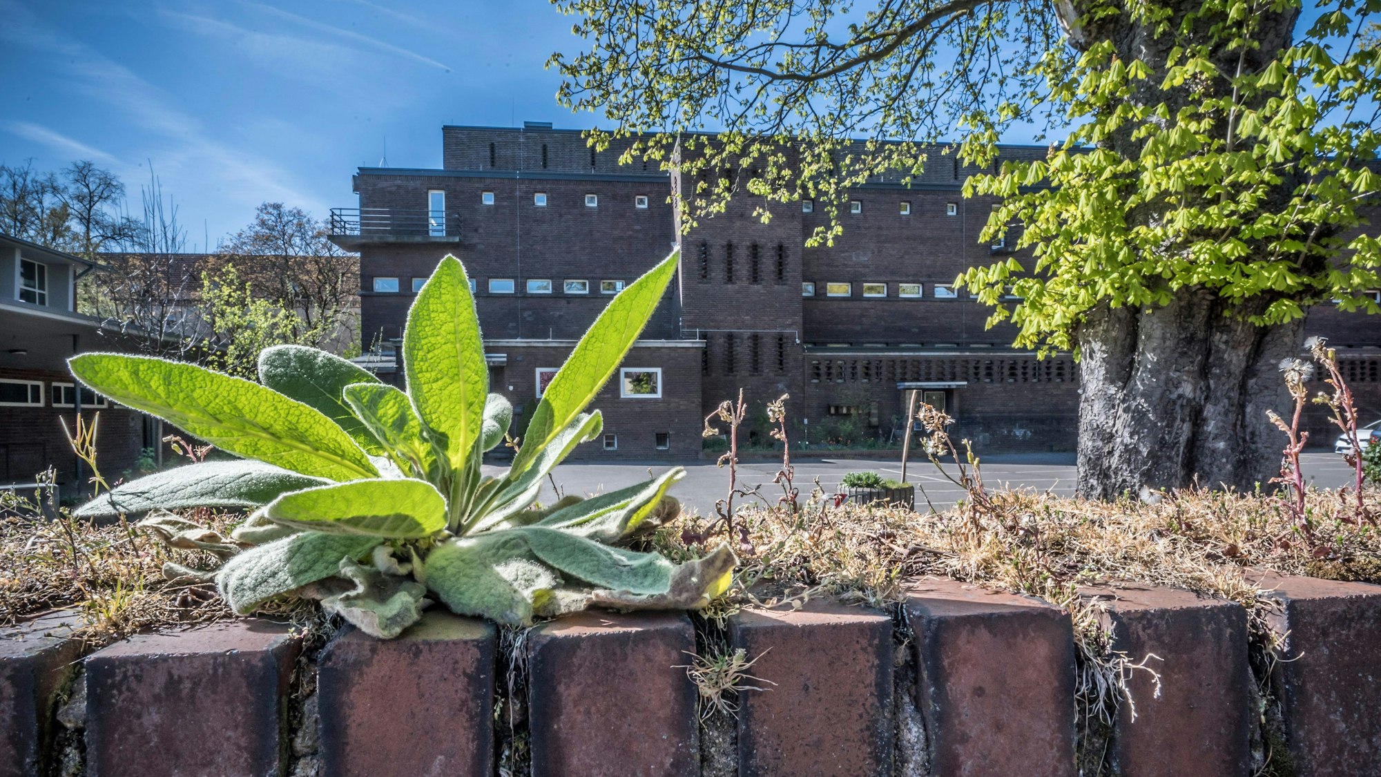 Es muss noch mehr gespart werden, für Kindergärten und Schulen, etwa die Realschule Am Stadtpark soll Geld locker gemacht werden. Foto: Ralf Krieger