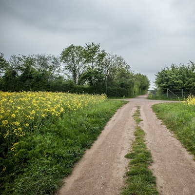 Monheim will seinen Plan für ein größeres Industriegebiet in der direkten Nachbarschaft zu Hitdorf und dem Leverkusener Naturschutzgebiet Buschbergsee noch einmal angehen. Die Ursache liegt bei Bayer 04 und ihrem Trainingscampus.