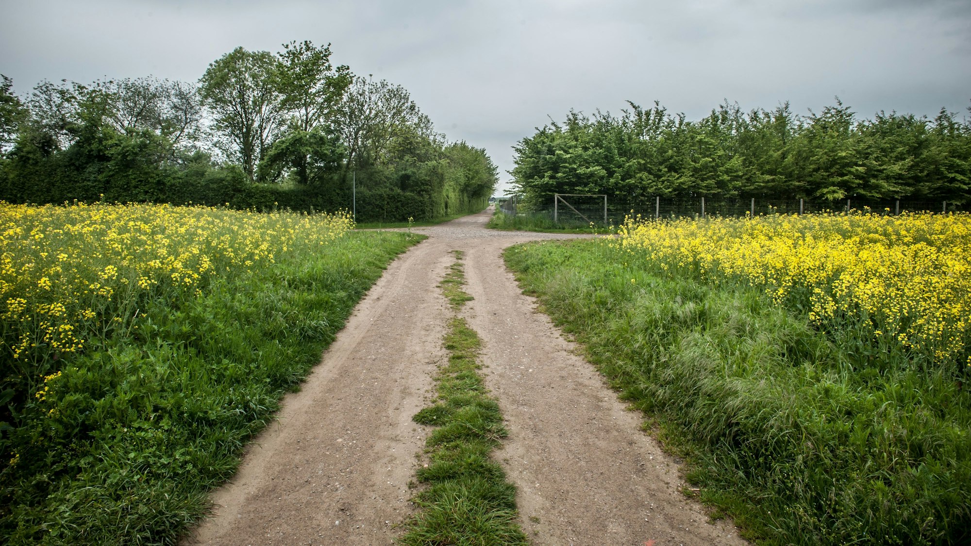 Monheim will seinen Plan für ein größeres Industriegebiet in der direkten Nachbarschaft zu Hitdorf und dem Leverkusener Naturschutzgebiet Buschbergsee noch einmal angehen. Die Ursache liegt bei Bayer 04 und ihrem Trainingscampus.