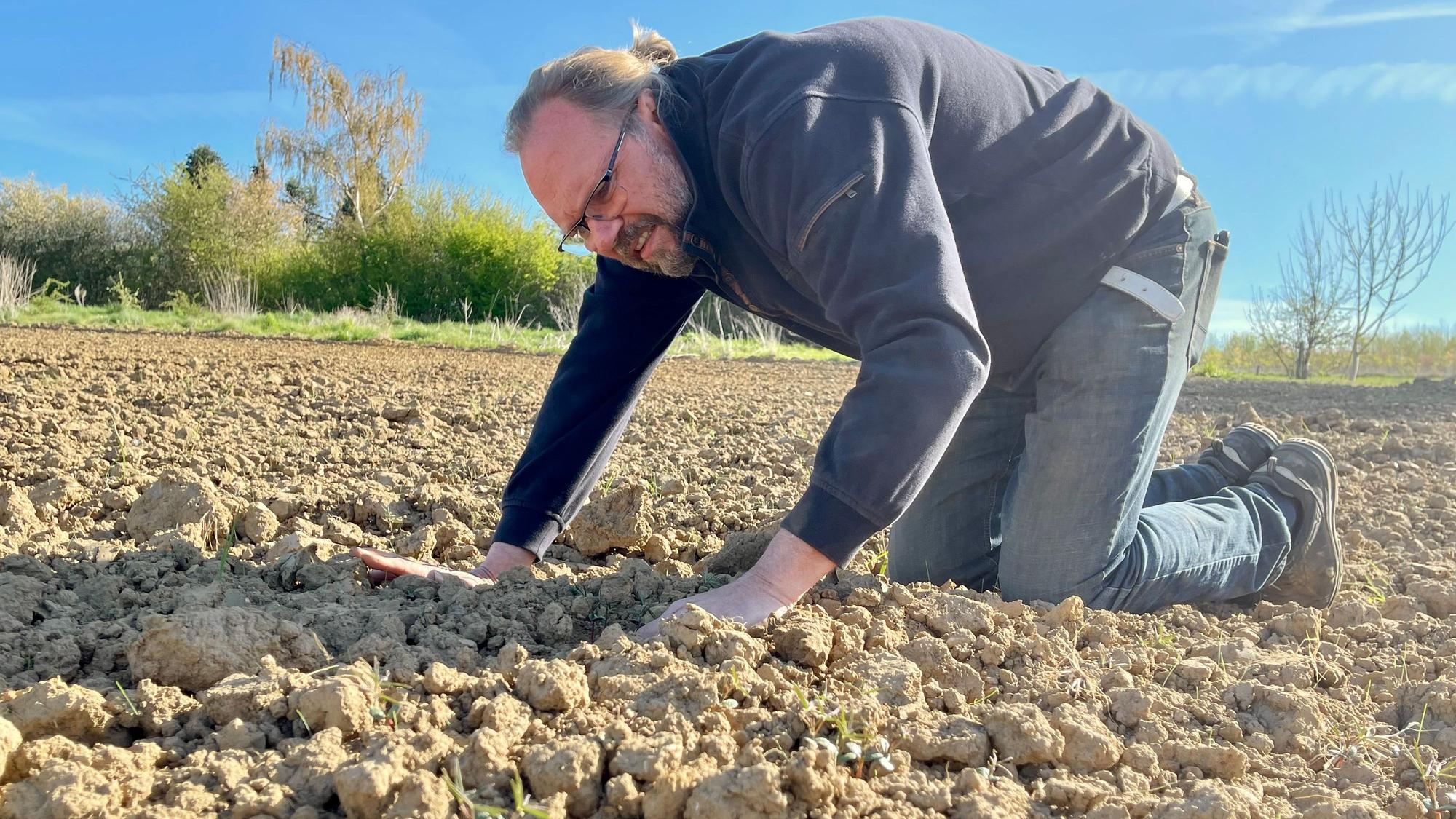 Bernd Dornbusch kniet auf seinem trockenen Feld, die Hände auf die krümelige, trockene Erde gelegt.
